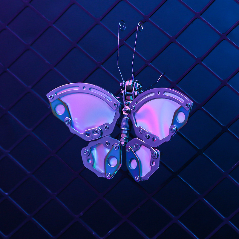 Butterfly-ORDER